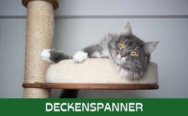 Deckenspanner Startseite