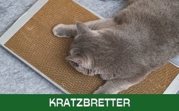 Kratzbretter Startseite