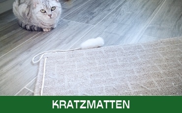 Kratzmatten Startseite