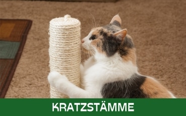 Kratzstämme Startseite